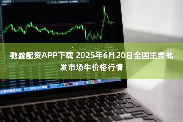 驰盈配资APP下载 2025年6月20日全国主要批发市场牛价格行情