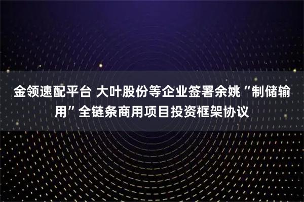 金领速配平台 大叶股份等企业签署余姚“制储输用”全链条商用项目投资框架协议