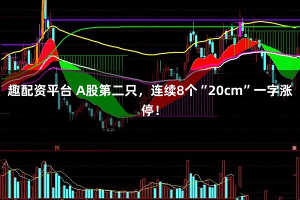 趣配资平台 A股第二只,连续8个“20cm”一字涨停!