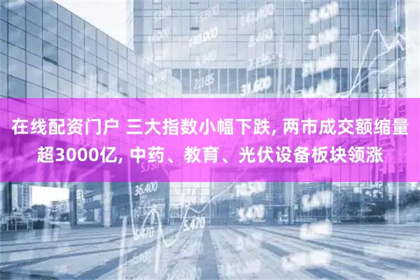在线配资门户 三大指数小幅下跌, 两市成交额缩量超3000亿, 中药、教育、光伏设备板块领涨